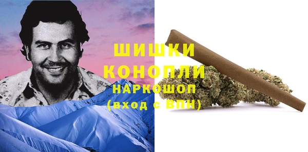 прущие грибы Абдулино