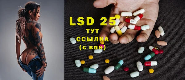 прущие грибы Абдулино