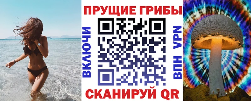 Псилоцибиновые грибы мицелий наркошоп Власиха