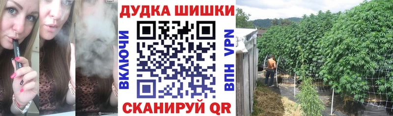 Канабис OG Kush Власиха